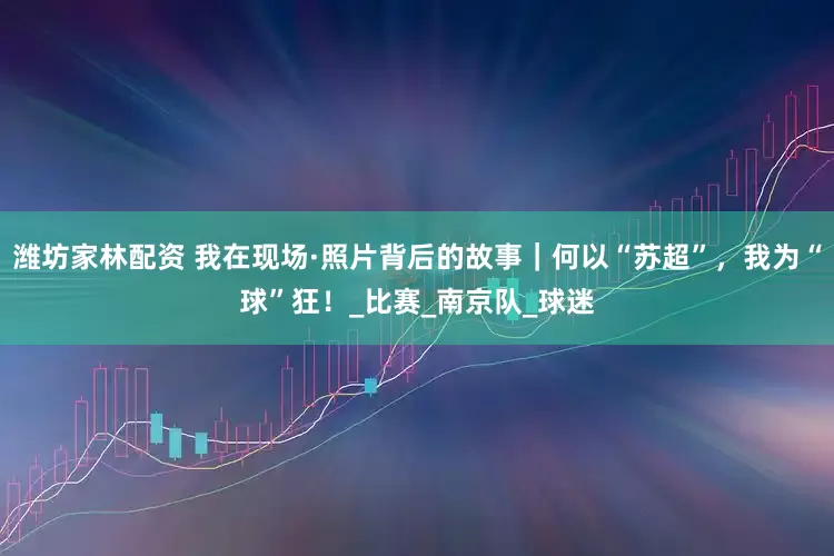 潍坊家林配资 我在现场·照片背后的故事｜何以“苏超”，我为“球”狂！_比赛_南京队_球迷