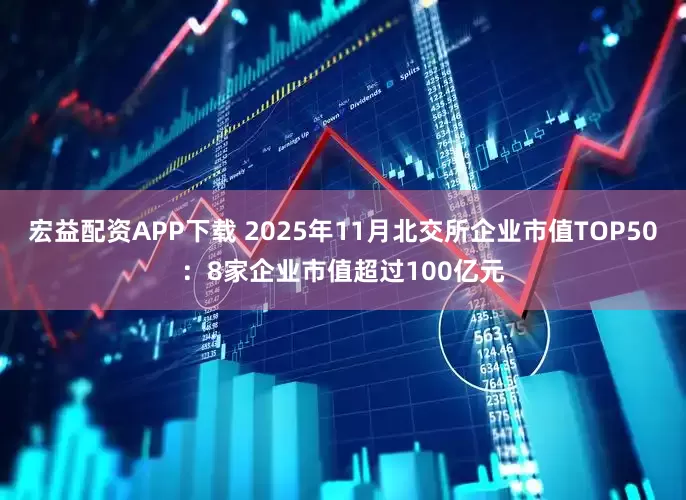 宏益配资APP下载 2025年11月北交所企业市值TOP50：8家企业市值超过100亿元