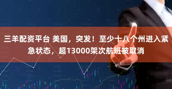 三羊配资平台 美国，突发！至少十八个州进入紧急状态，超13000架次航班被取消